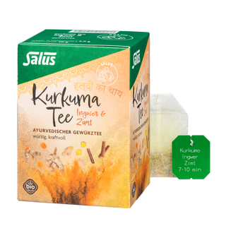 Salus Kurkuma Tee Ingwer & Zimt