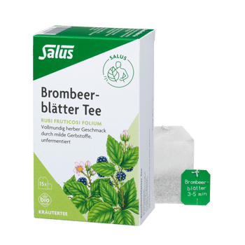 Salus Brombeerblätter Tee