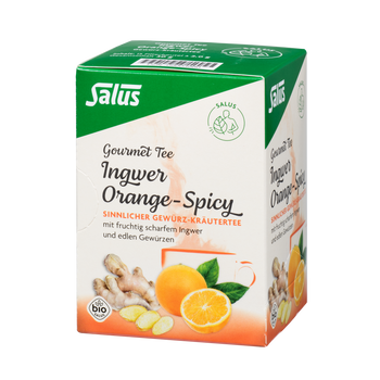Salus Gourmet Tee Ingwer Orange-Spicy