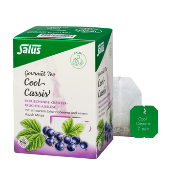 Salus Gourmet Tee Cool Cassis