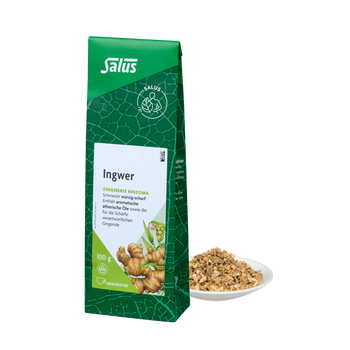 Salus Ingwer