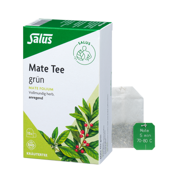 Salus Mate Tee grün