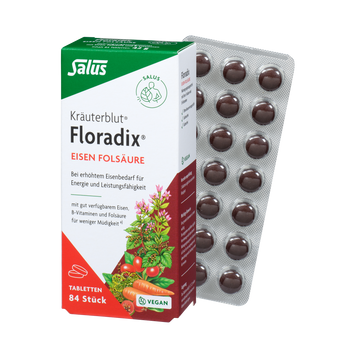 Salus Kräuterblut Floradix Eisen Folsäure