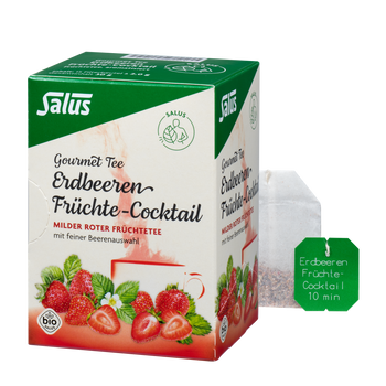 Salus Gourmet Tee Erdbeeren Früchte-Cocktail