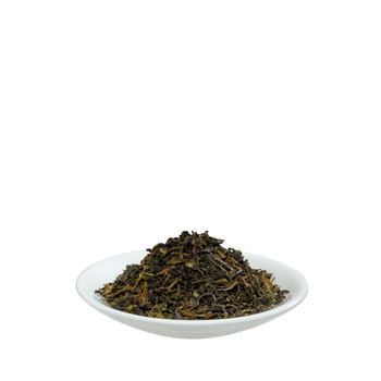 Salus Darjeeling