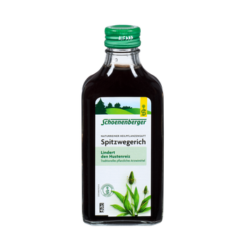 Schoenenberger Spitzwegerich