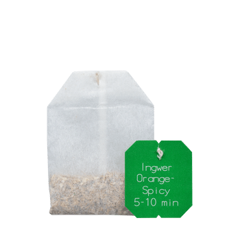 Salus Gourmet Tee Ingwer Orange-Spicy