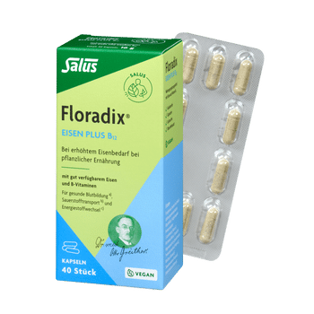 Salus Floradix Eisen plus B12