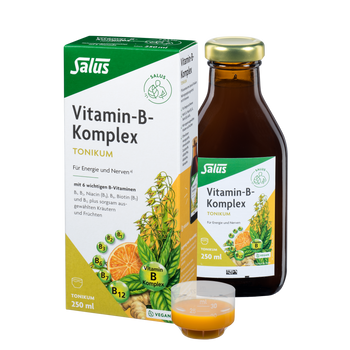 Salus Vitamin-B-Komplex
