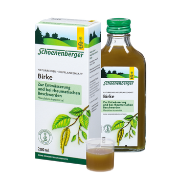 Schoenenberger Birke