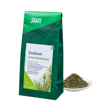 Salus Zinnkraut