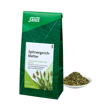 Salus Spitzwegerichblätter