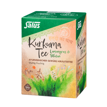 Salus Kurkuma Tee Lemongras & Blüten