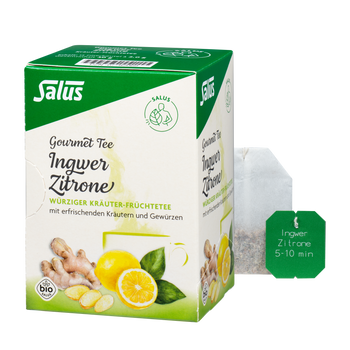Salus Gourmet Tee Ingwer Zitrone