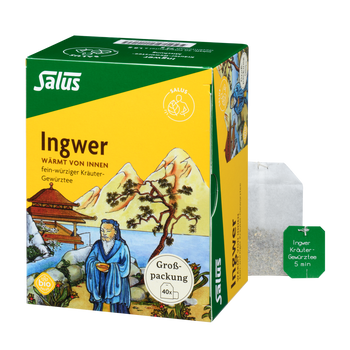 Salus Ingwer