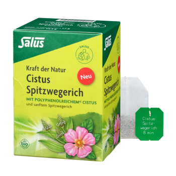 Salus Kraft der Natur Cistus Spitzwegerich