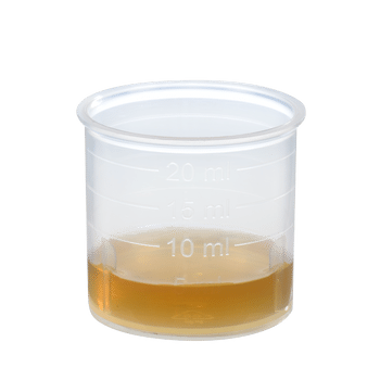 Schoenenberger Ingwer