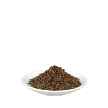 Salus Kümmel