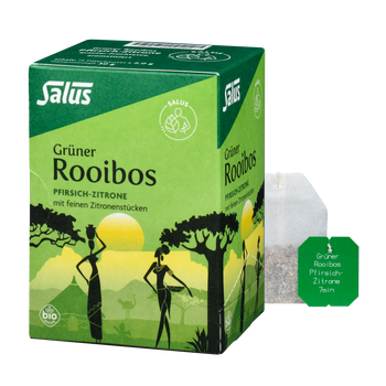 Salus Grüner Rooibos Pfirsich-Zitrone