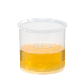 Schoenenberger Petersilie