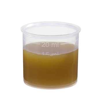 Schoenenberger Birke