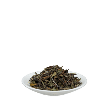 Schoenenberger Ch’uan Pai-Mu-Tan