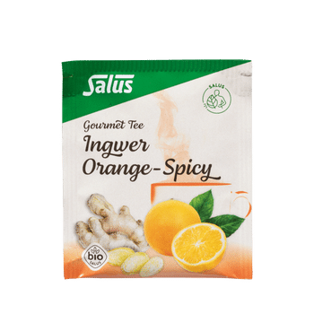 Salus Gourmet Tee Ingwer Orange-Spicy