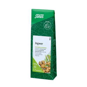 Salus Ingwer
