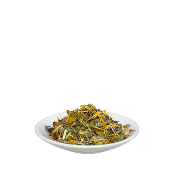 Salus Fit & Vital Tee