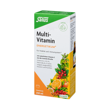 Salus Multi-Vitamin Energetikum*