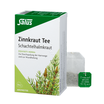 Salus Zinnkraut