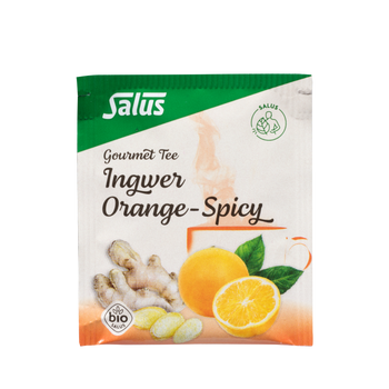 Salus Gourmet Tee Ingwer Orange-Spicy