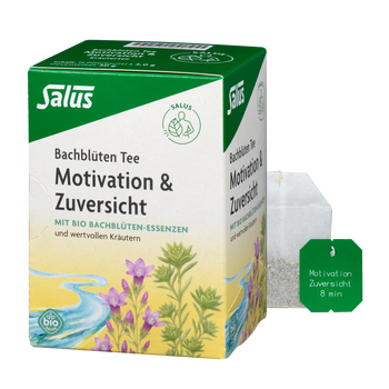 Salus Bachblüten Tee Motivation & Zuversicht