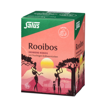 Salus Rooibos Erdbeere-Kokos