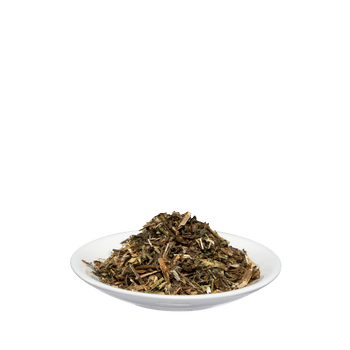 Salus Kleinblütiges Weidenröschen