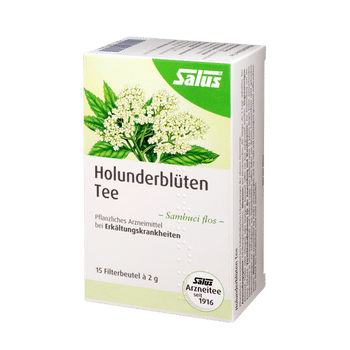 Salus Holunderblüten