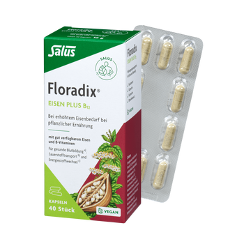 Salus Floradix Eisen plus B12