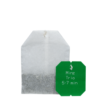 Salus Gourmet Tee Minz Trio