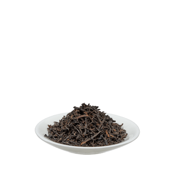 Salus Assam
