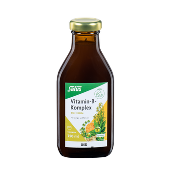 Salus Vitamin-B-Komplex