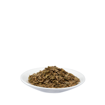 Salus Fenchel