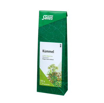 Salus Kümmel