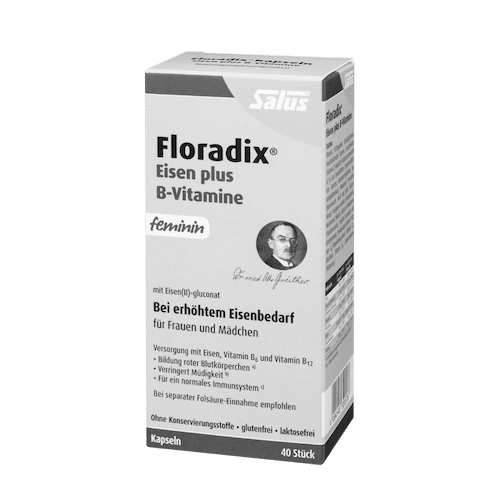 Salus® Floradix® Eisen plus B-Vitamine