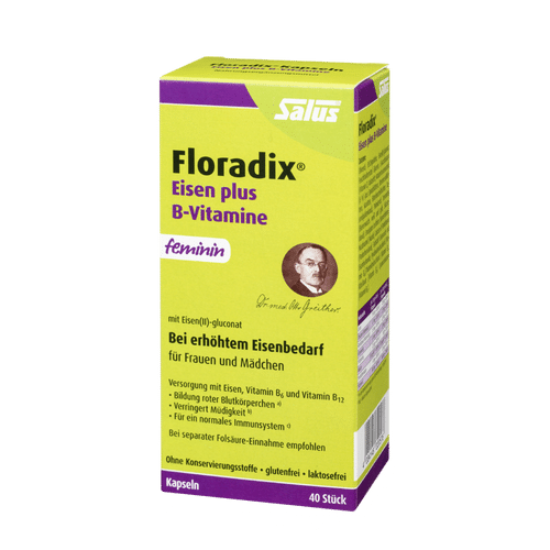 Salus® Floradix® Eisen plus B-Vitamine