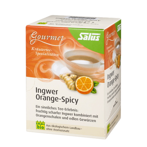 Salus® Gourmet Ingwer Orange-Spicy