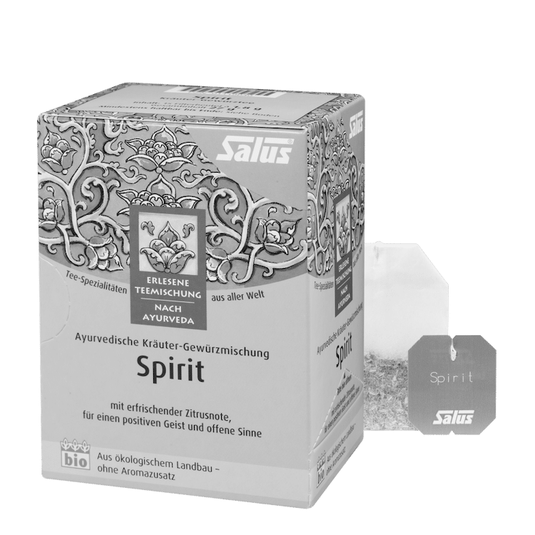 Salus® Kräutertee-Spezialitäten aus aller Welt Spirit