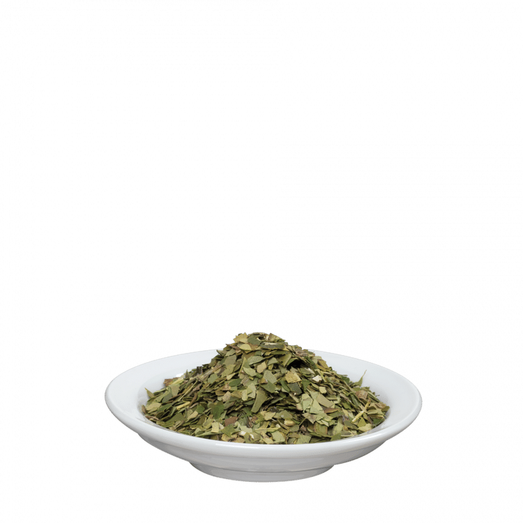 Salus® Mate Tee grün